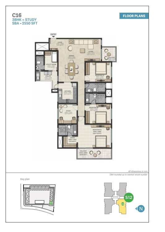 C16-3BHK